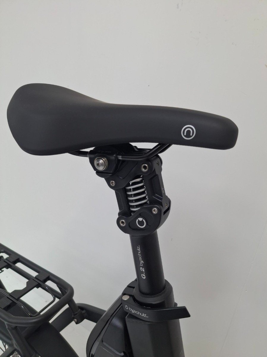 Qio Van €4199 voor €3999! EINS P-5 2025 - Afbeelding 6
