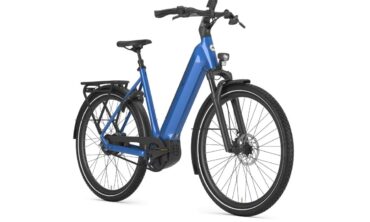 Gazelle Ultimate test e-bike 2026
